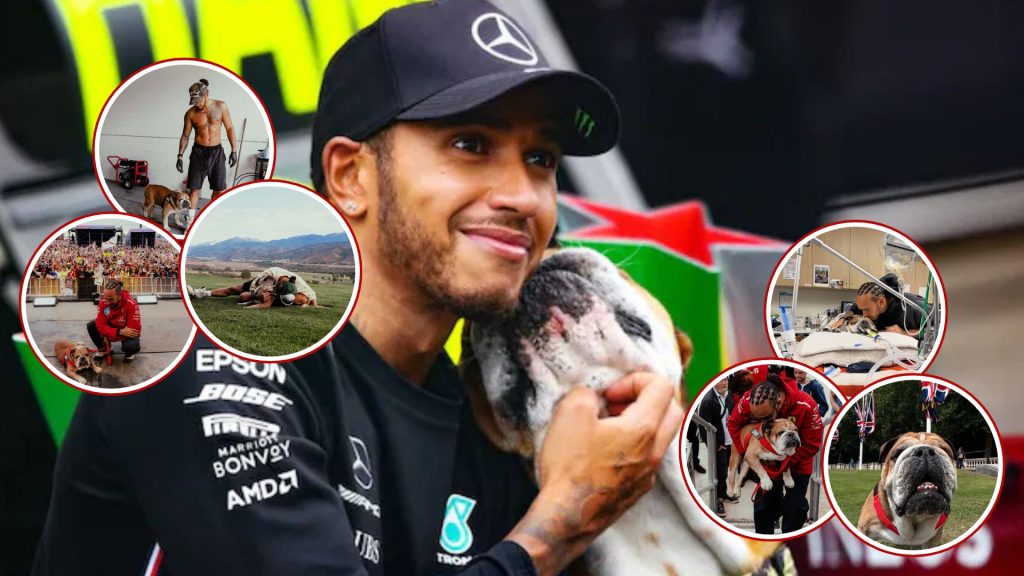 Lewis Hamilton de se despide de su perrito Roscoe: “Tuve que tomar la decisión más difícil de mi vida”
